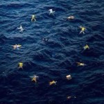 migranti