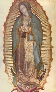 Nostra Signora di Guadalupe: i segreti della “tilma” – di Rosanna Brichetti Messori