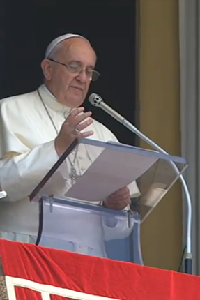 Papa Francesco. Angelus del 27 luglio 2014