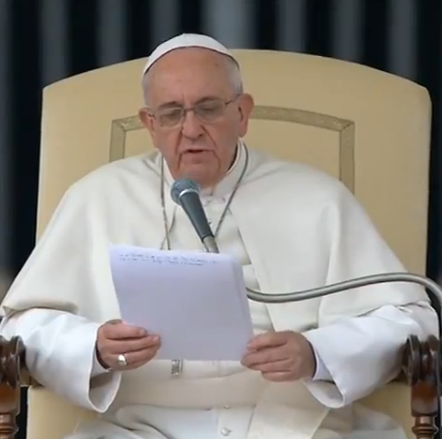 Papa Francesco. Udienza generale del 5 novembre 2015: Santa Madre Chiesa Gerarachica