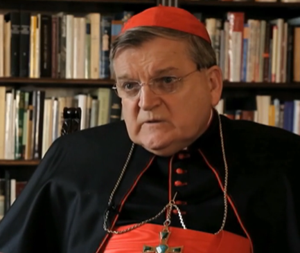 Il cardinale Burke invita alla pubblica testimonianza – di Cristina Siccardi