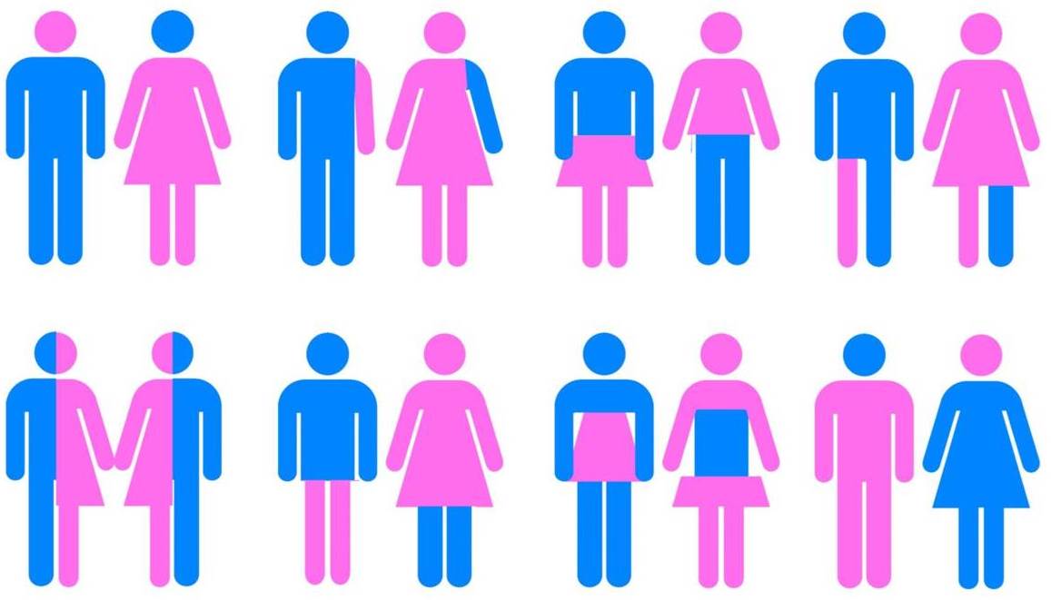 ProVita. Urgente firmare petizione contro Gender a scuola