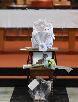 Belgio: funerale per un chihuahua, con tanto di liturgia della Parola