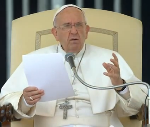 Papa Francesco.  Udienza generale del 29 aprile 2015 – La Famiglia, il matrimonio (I)