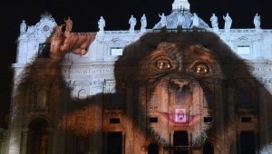 Ecco cosa c’era dietro lo spettacolo animalista proiettato sulla basilica di San Pietro