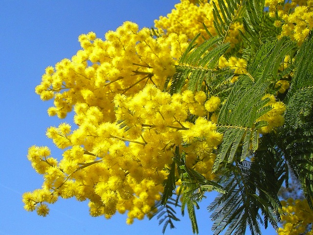 La favola dell’8 marzo (la festa come nessuno ve l’ha ancora raccontata)