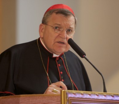 Burke: “Inverosimile che Farrel non sapesse di McCarrick” – di Francesco Agnoli