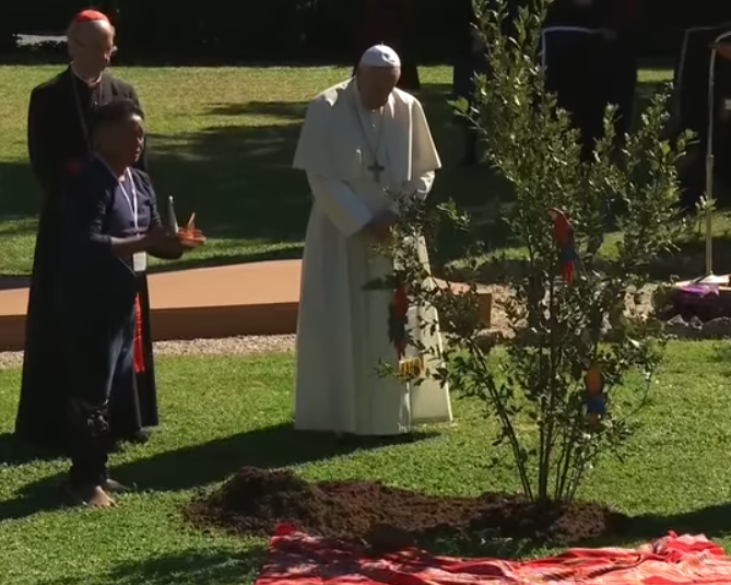 « Dopo la cerimonia pagana nei giardini vaticani. Adesso riparare! » di Aldo Maria Valli